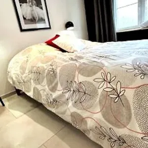https://le-campagnard-le-maryline-wifi-clim-parking-gratuit.hotels-rhonealpes.com